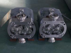 小流量轉(zhuǎn)子泵