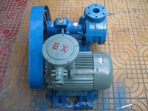 GWB系列外潤(rùn)滑渣油泵