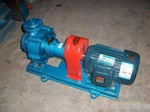 RY高溫導熱油泵