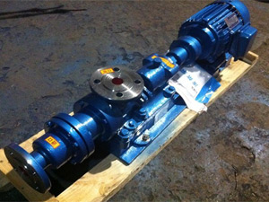 I-IB螺桿泵（濃漿泵）