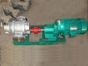 LCX不銹鋼羅茨泵