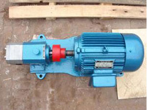 FXB外潤滑不銹鋼齒輪泵