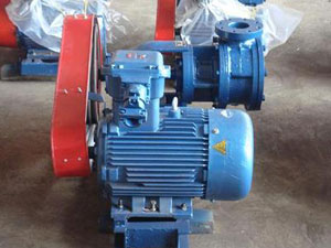 NCB系列不銹鋼高粘度轉子泵