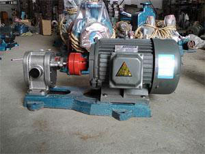 2CY不銹鋼齒輪泵