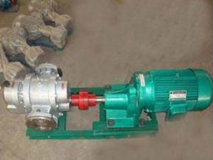 LCB不銹鋼羅茨泵